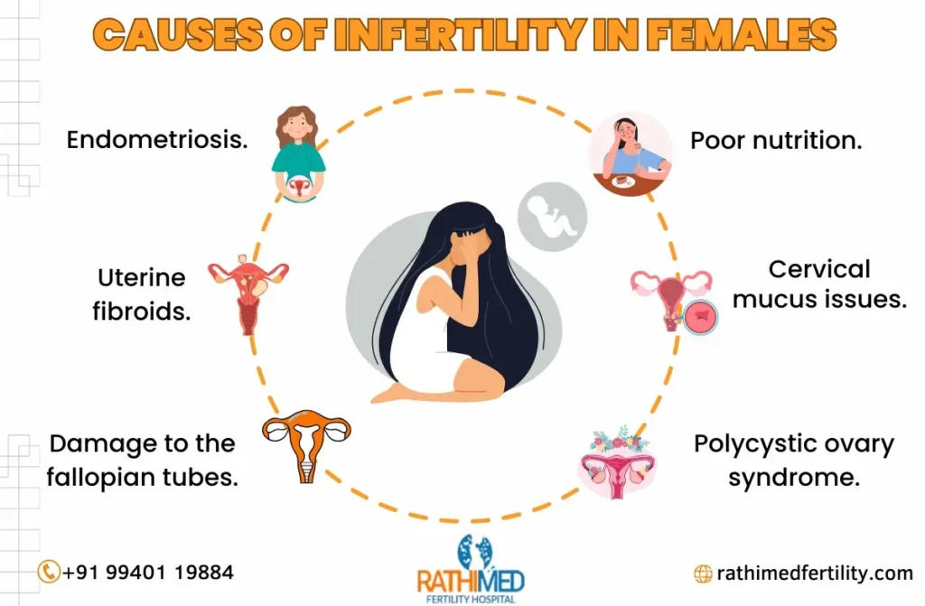 Infertility Treatment in Anna Nagar | Rathimed Fertility