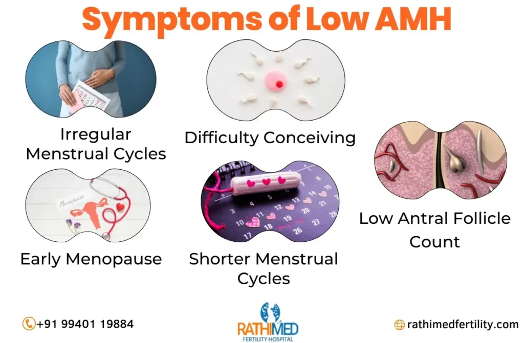 Low AMH Treatment in Anna Nagar