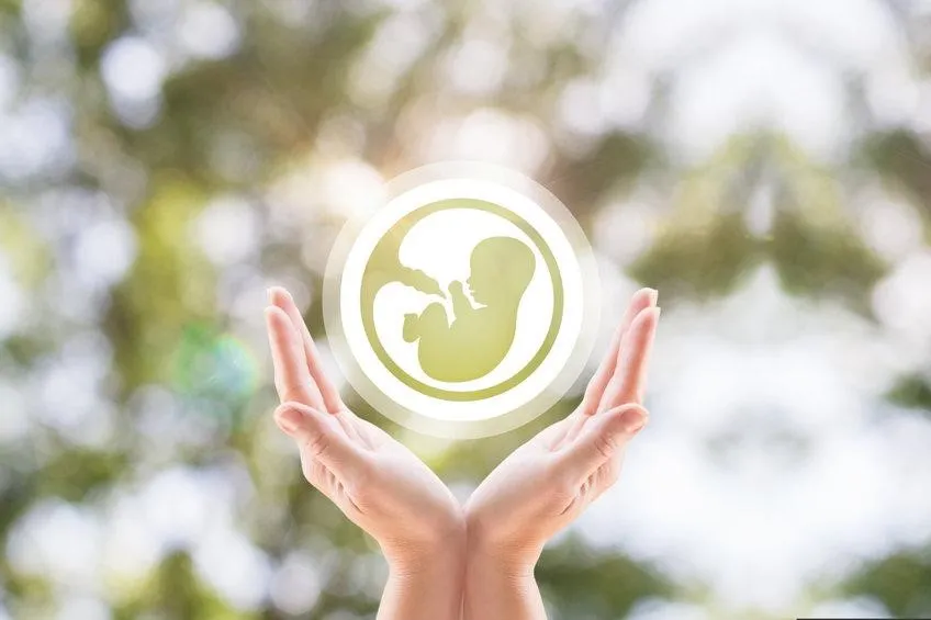 Kickstart Your Fertility Journey The Mini FWP