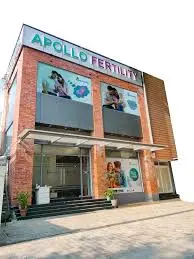 Apollo Fertility