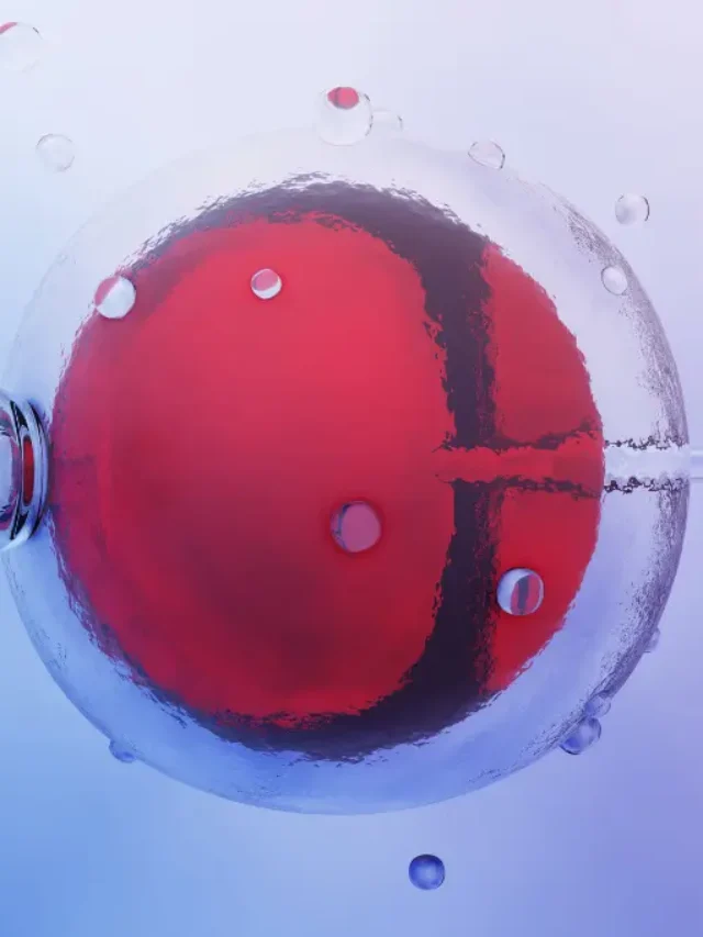 cropped-Affordable-IVF-Treatment-2.webp